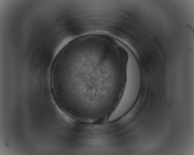 X0000093151054200710171346