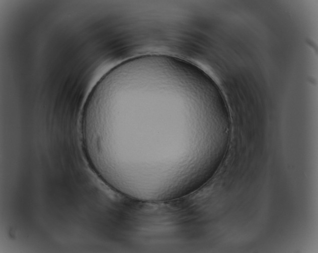 X0000093151056200710171347