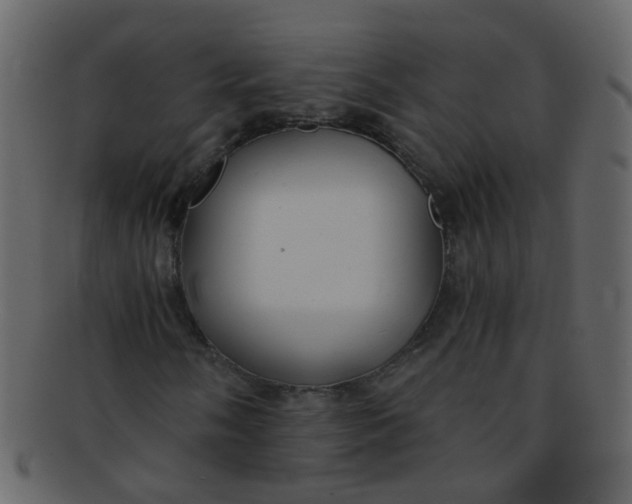 X0000093151058200710171346