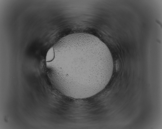 X0000093151059200710171346