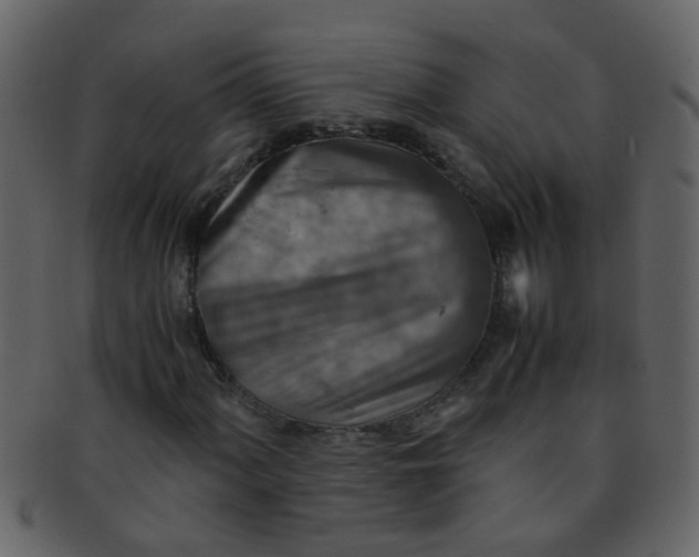 X0000093151060200710171346