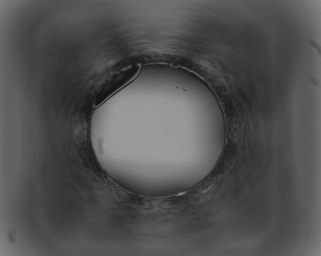 X0000093151061200710171346