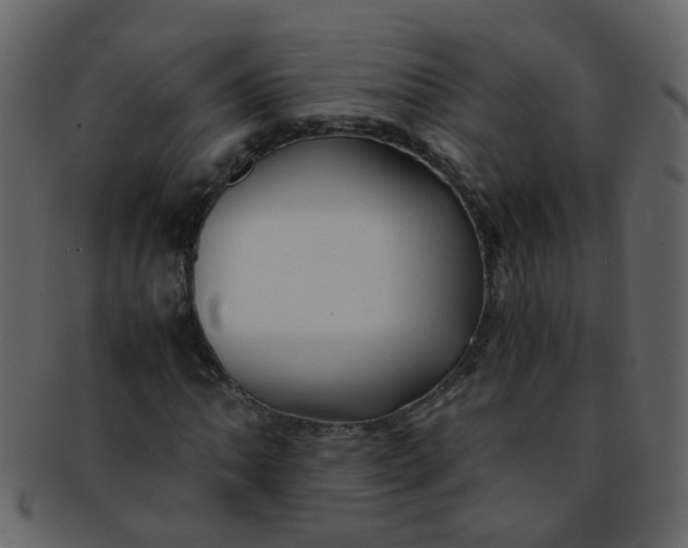 X0000093151062200710171346