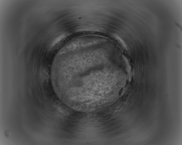 X0000093151064200710171346