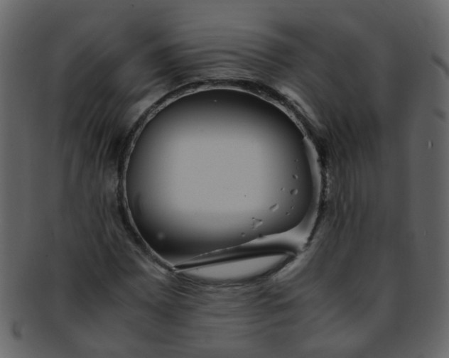 X0000093151065200710171346