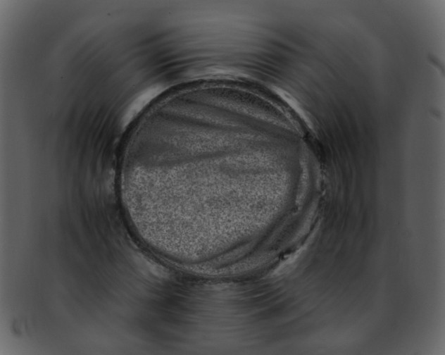 X0000093151066200710171346