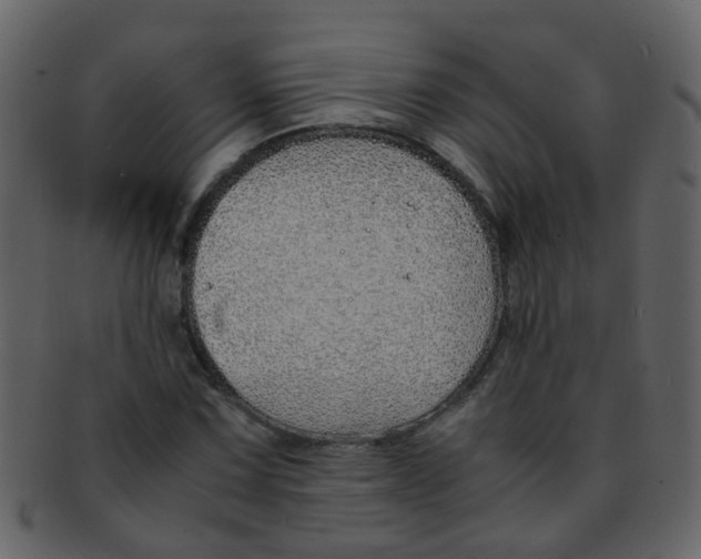 X0000093151067200710171346