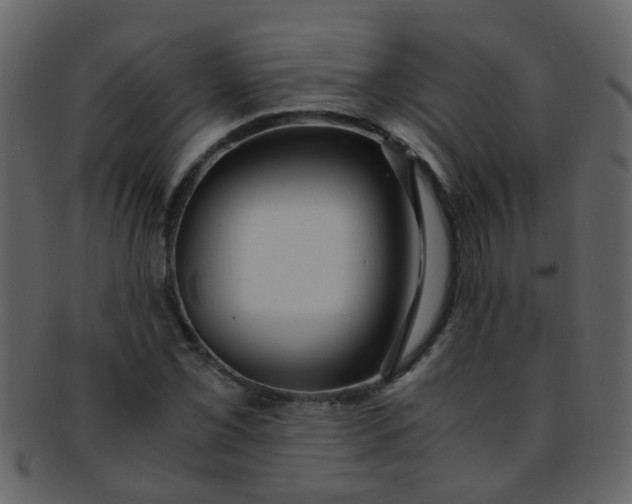 X0000093151069200710171346