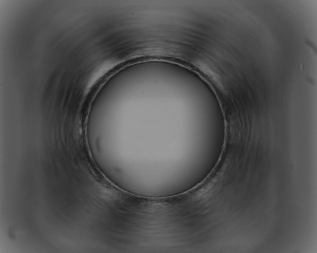 X0000093151070200710171346