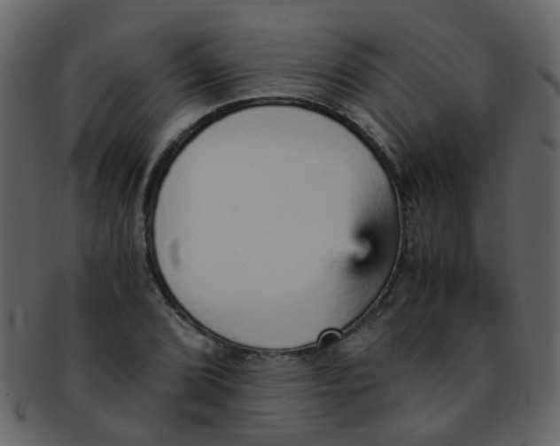 X0000093151072200710171346