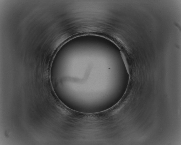 X0000093151073200710171346