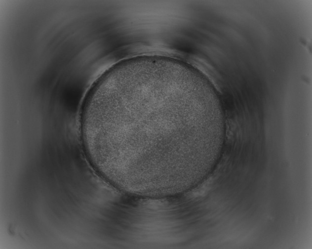 X0000093151074200710171346