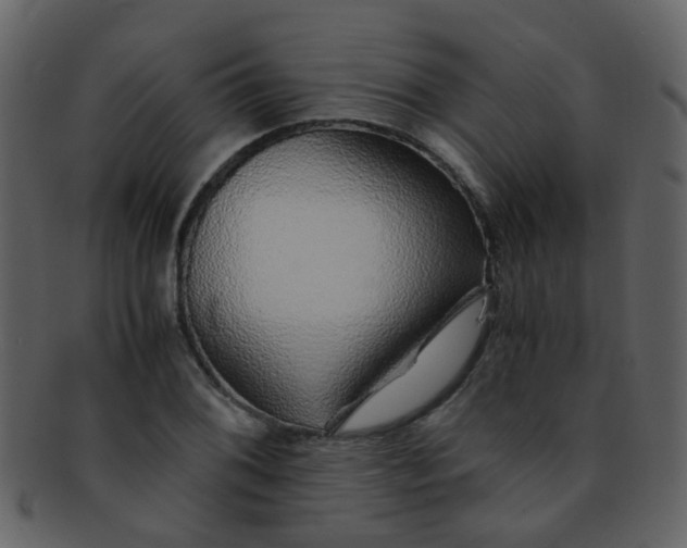 X0000093151076200710171346