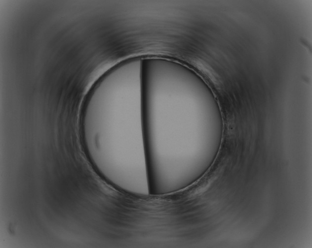 X0000093151077200710171346