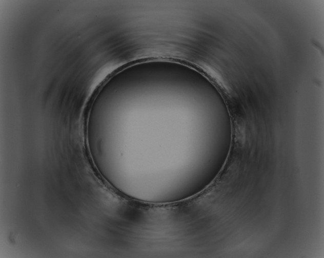 X0000093151078200710171346