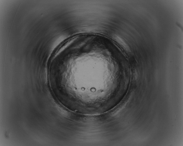 X0000093151079200710171346