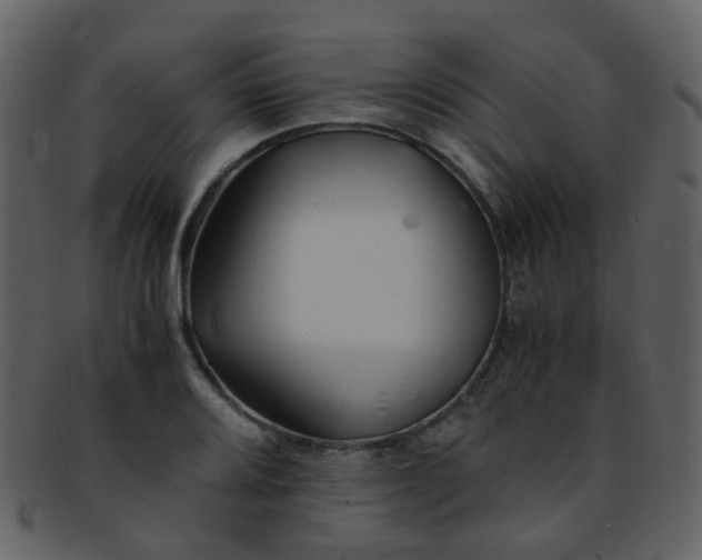 X0000093151080200710171346