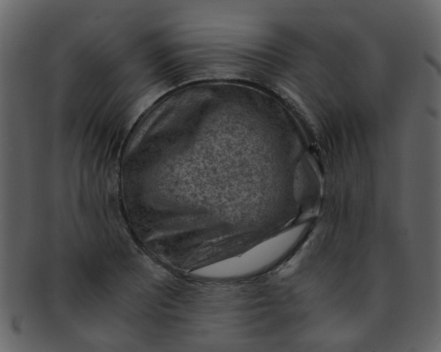 X0000093151081200710171346