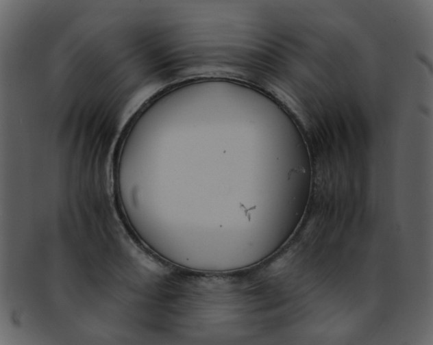 X0000093151082200710171346