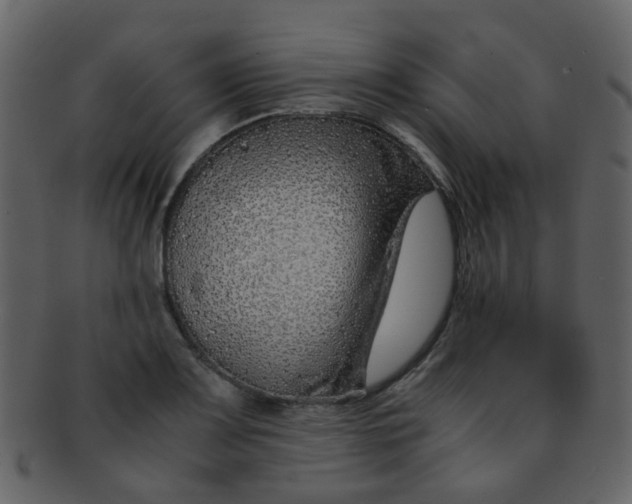 X0000093151083200710171345