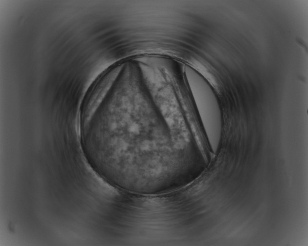 X0000093151084200710171345