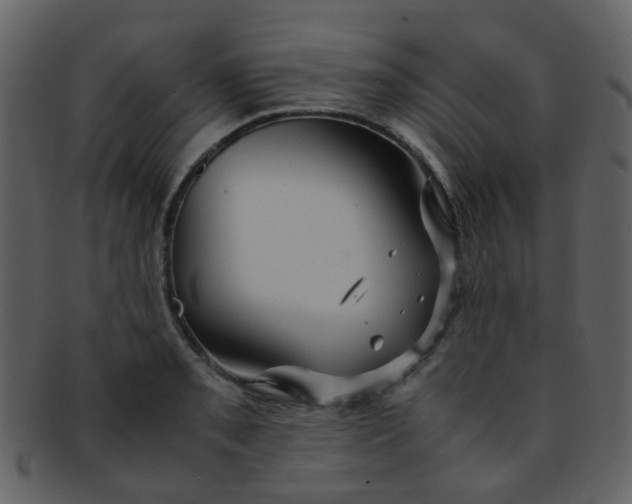 X0000093151085200710171345