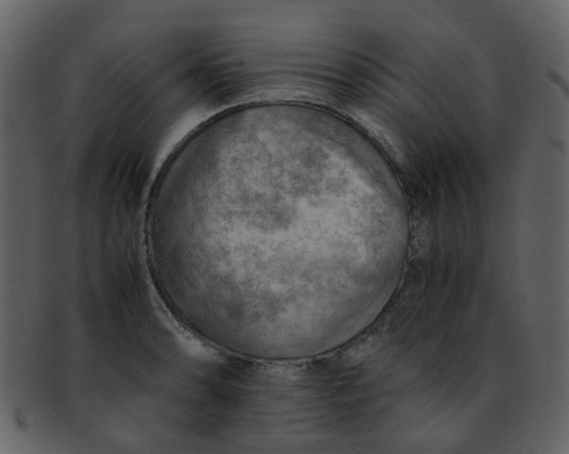 X0000093151086200710171345