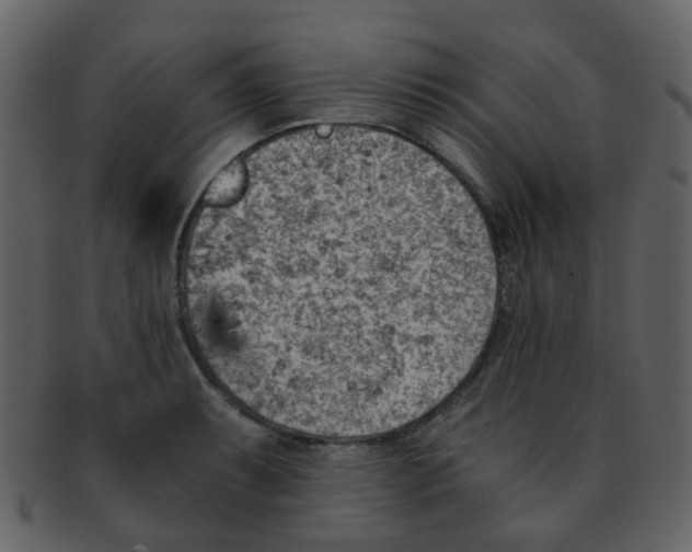 X0000093151087200710171345