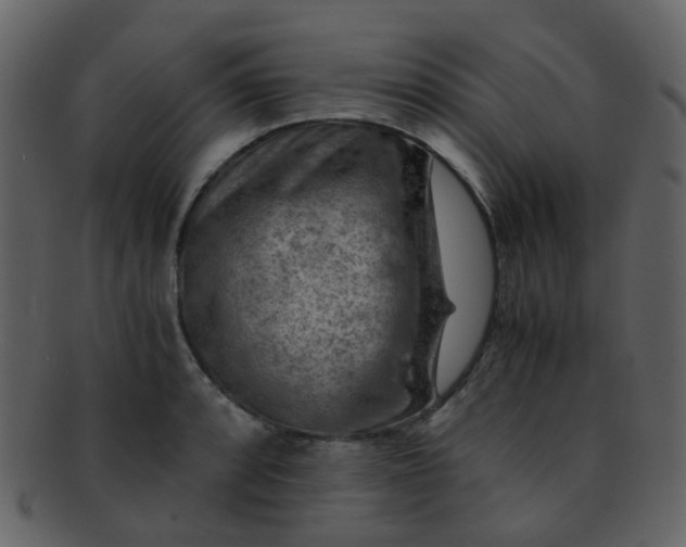 X0000093151088200710171345