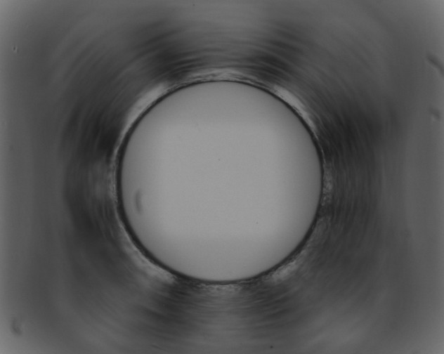 X0000093151090200710171345