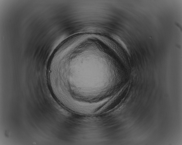 X0000093151091200710171345