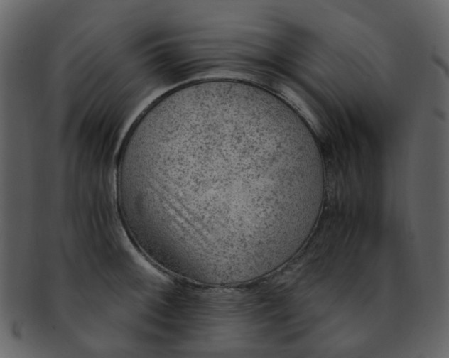 X0000093151092200710171345