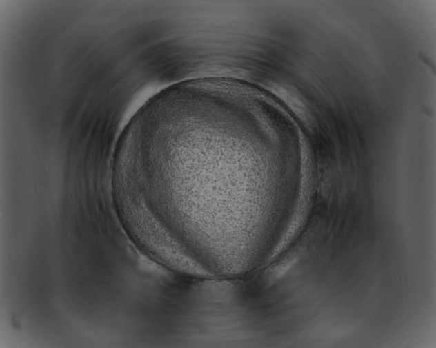 X0000093151094200710171345