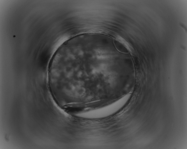 X0000093151095200710171345