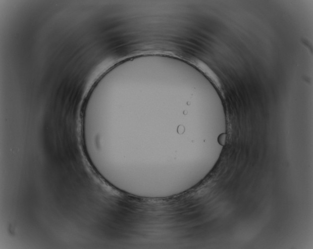 X0000093151096200710171345