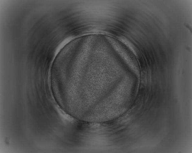 X0000093151098200710171345