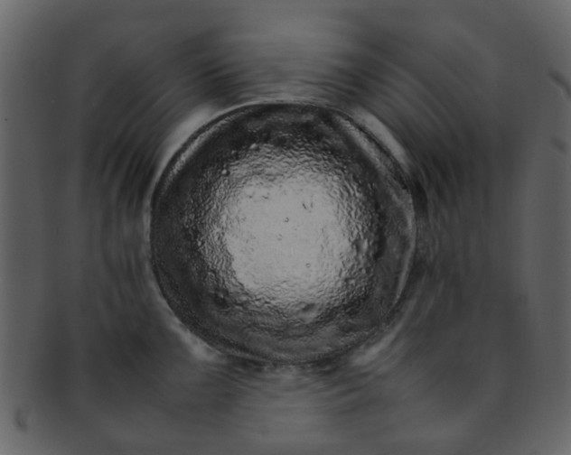 X0000093151099200710171345