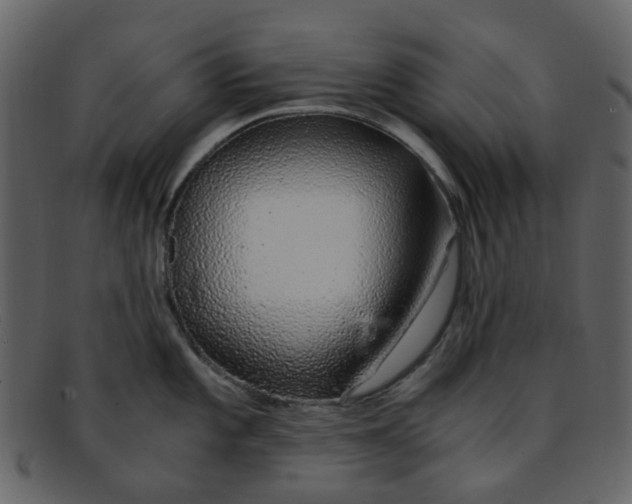 X0000093151101200710171345