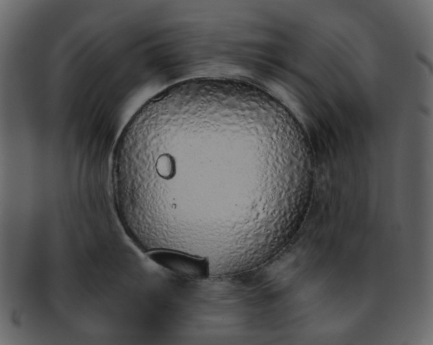 X0000093151103200710171345