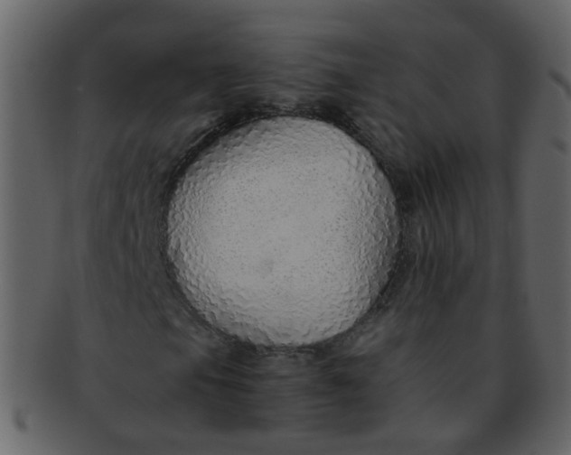 X0000093151105200710171344