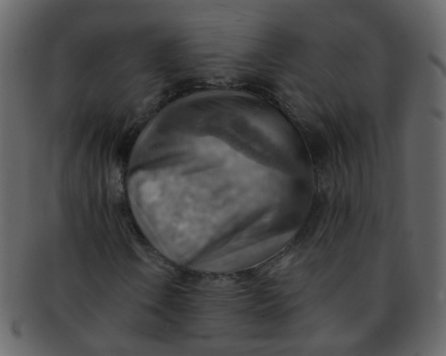 X0000093151106200710171344