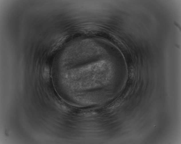 X0000093151108200710171344