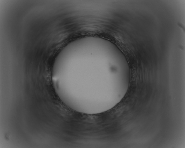 X0000093151109200710171344