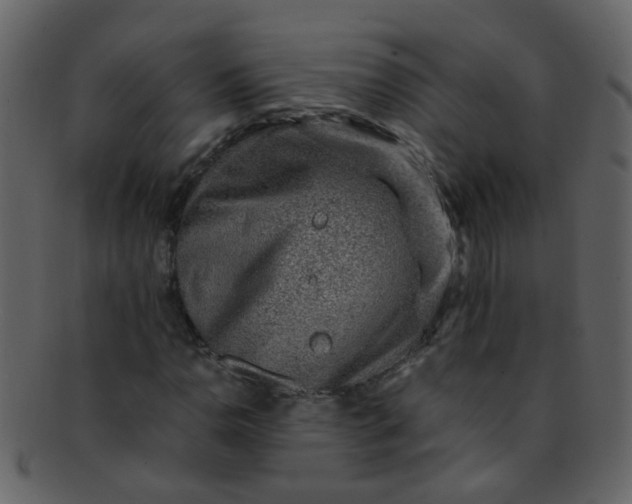 X0000093151110200710171344