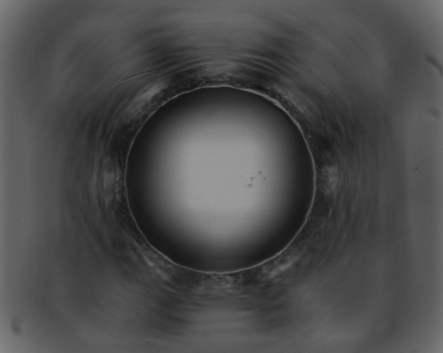 X0000093151111200710171344