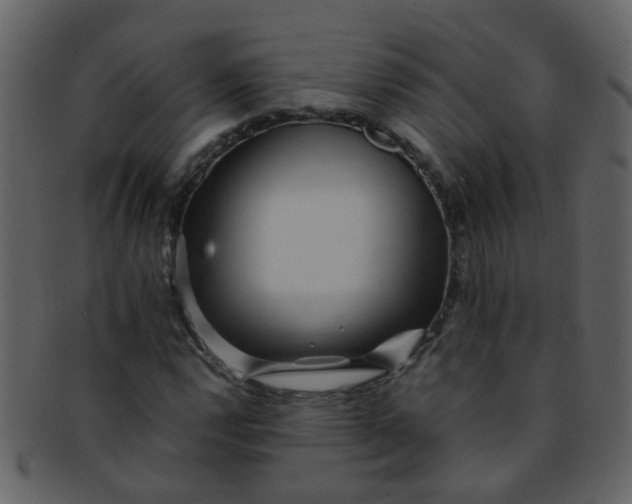 X0000093151112200710171344