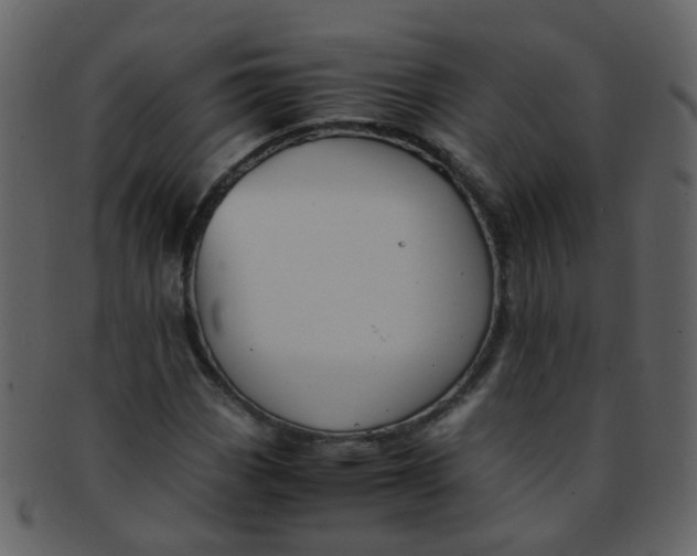 X0000093151113200710171344