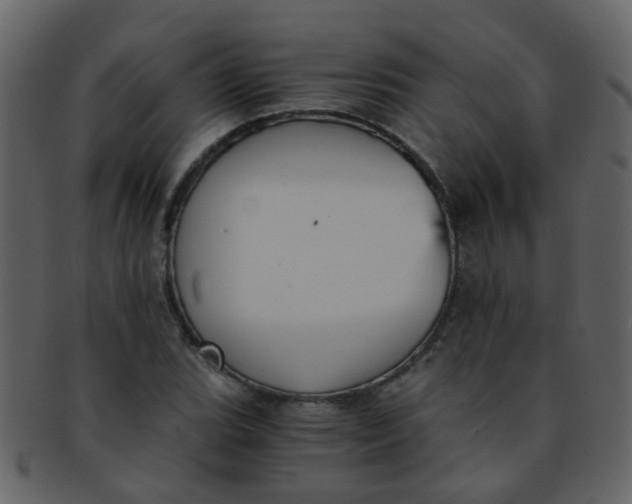 X0000093151119200710171345