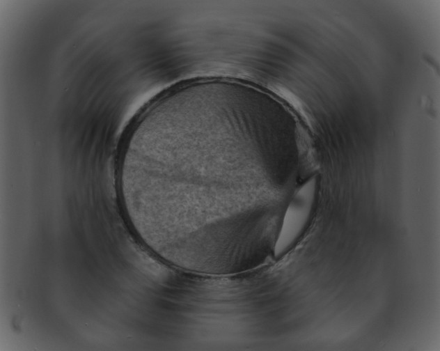 X0000093151120200710171345