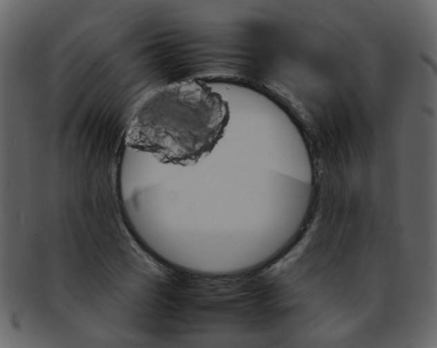 X0000093151121200710171345